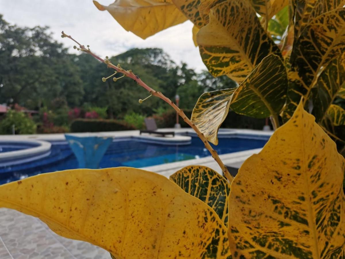 Hotel Canto De Ballenas 우비타 외부 사진